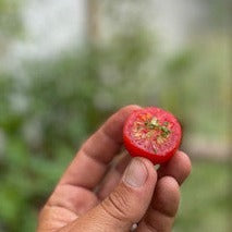 Tomato, Chadwick Cherry